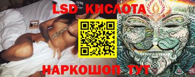 СК Боровичи