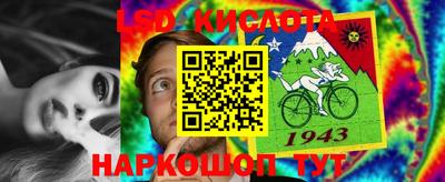 стаф Братск