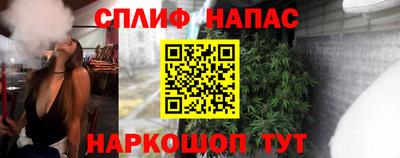 СК Боровичи