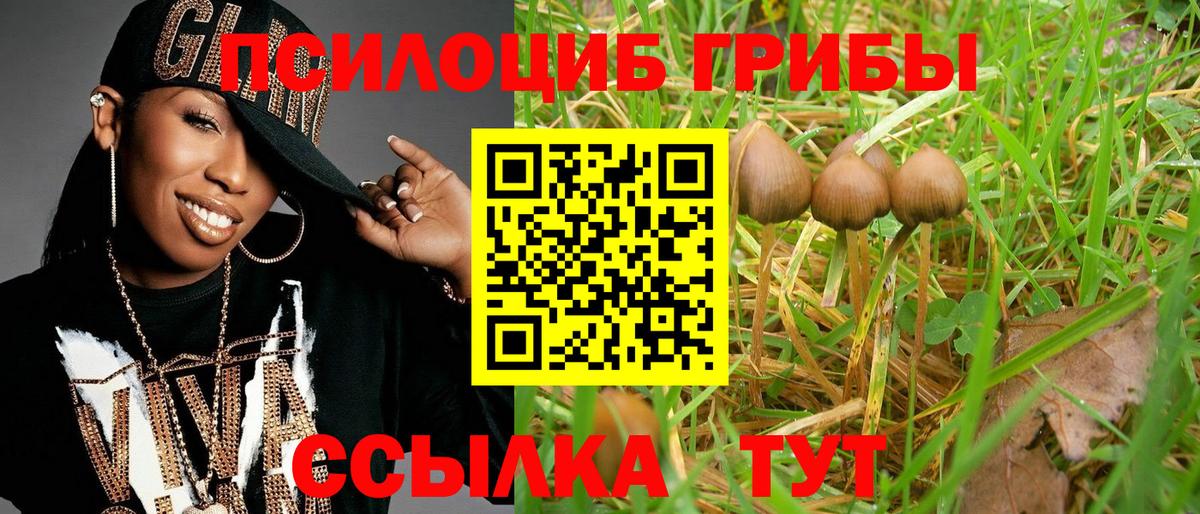 Псилоцибиновые грибы GOLDEN TEACHER Кольчугино