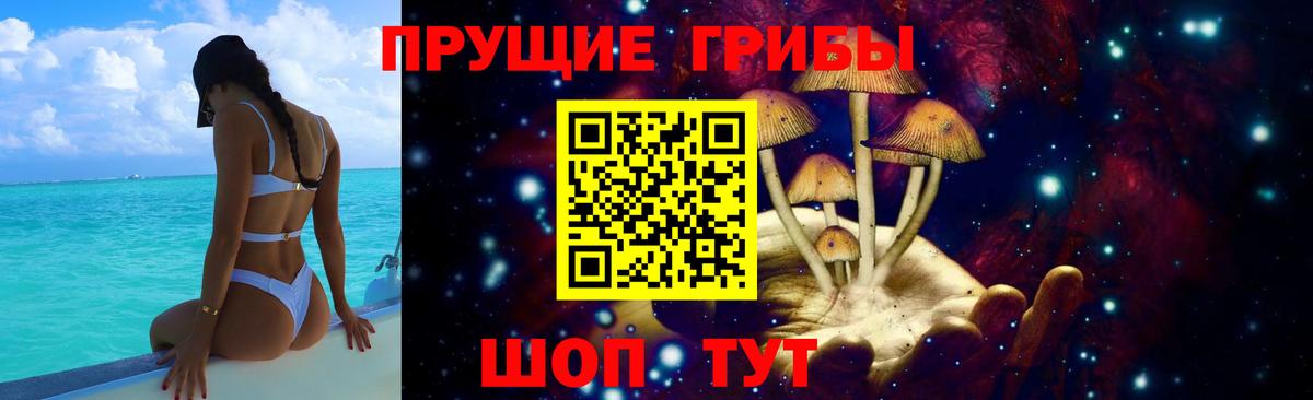 Кольчугино  Псилоцибиновые грибы Psilocybine cubensis  Вход с VPN 